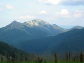 Андрій Івасюк фотография #17 (источник - https://vk.com/id20758901)