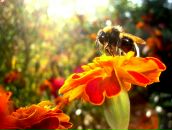 Фотография Сербинович Жанны