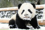 Фотография Демиденко Вероники