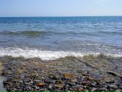 Герман Марков фотография #21 (источник - https://vk.com/id5027730)