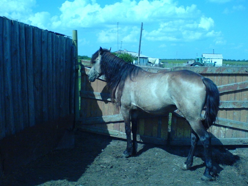 Светлана Лепешкова фотография #18