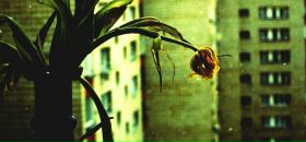 Фотография Кармалиты Кристины