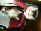 Фотография Круглова Михаила