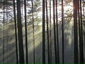 Дина Лебедева фотография #7 (источник - https://vk.com/id651702)