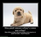 Пєтька Мазярчук фотография #21 (источник - https://vk.com/id67597186)