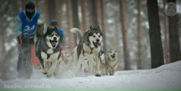 Фотография Гудакова Михаила