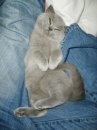 Тіна Тен фотография #18 (источник - https://vk.com/id50531224)