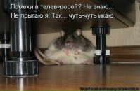 Фотография Кузнецовой Настасьи