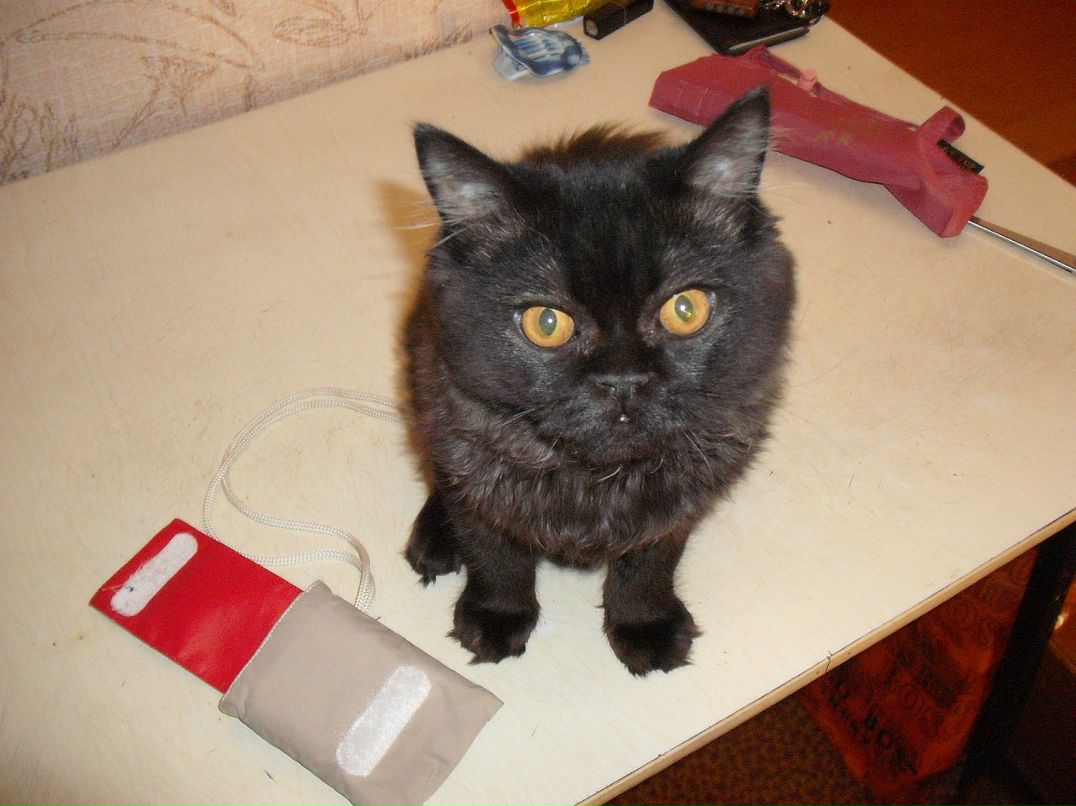 Владислав Плотников фотография #13