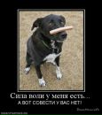 Вадім Ремо фотография #50 (источник - https://vk.com/id39560744)