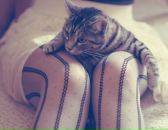 Фотография Нефёдкиной Татьяны