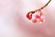 Фотография Репиной Марины