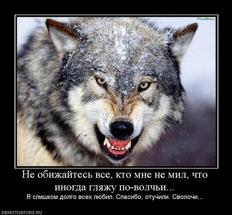 Дмитрий Зайцев фотография #36