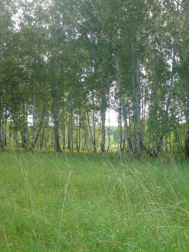 Дмитрий Федуленко фотография #6