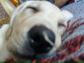 Фотография Куцан Наталии