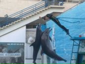 Вікторія Венчак фотография #29 (источник - https://vk.com/id14964689)