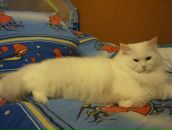 Фотография Волковой Инги