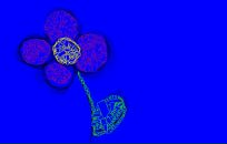 Віка Кобута фотография #14 (источник - https://vk.com/id86028237)