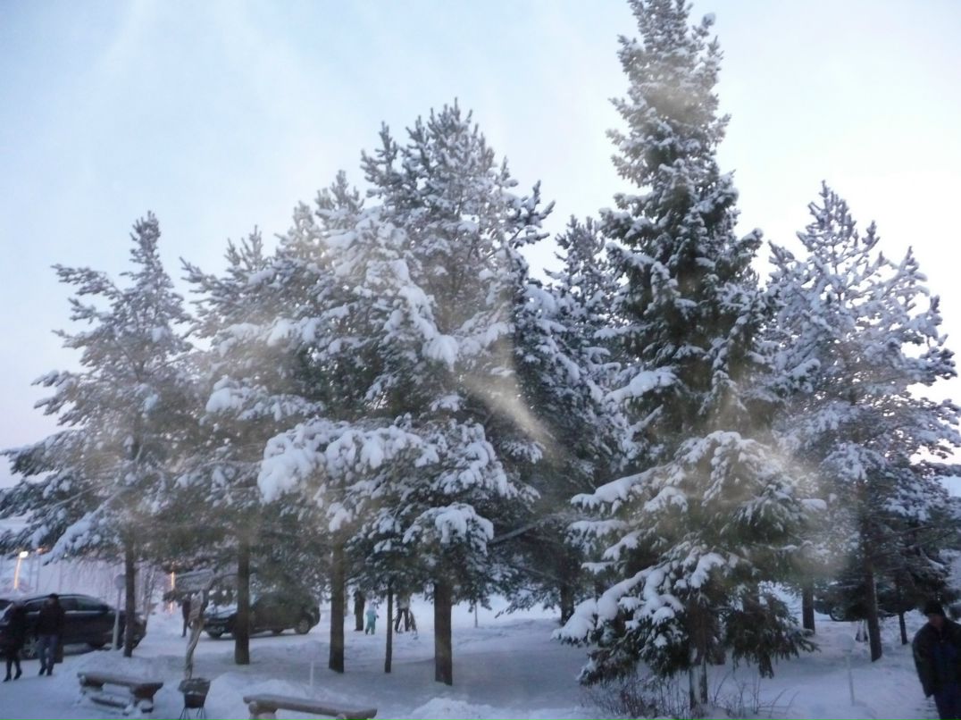 Мария Басина фотография #18