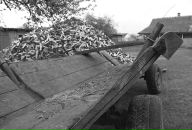 Сергій Синиця фотография #32 (источник - https://vk.com/id48487905)