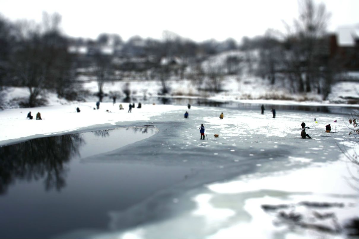 Сергей Рыбальченко фотография #7