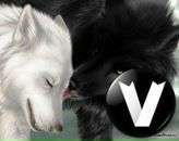 Фотография Гербер Марии