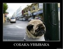 Эдуард Κрюков фотография #10 (источник - https://vk.com/id70380039)