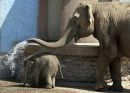 Лілька Ванiька фотография #32 (источник - https://vk.com/id152251773)
