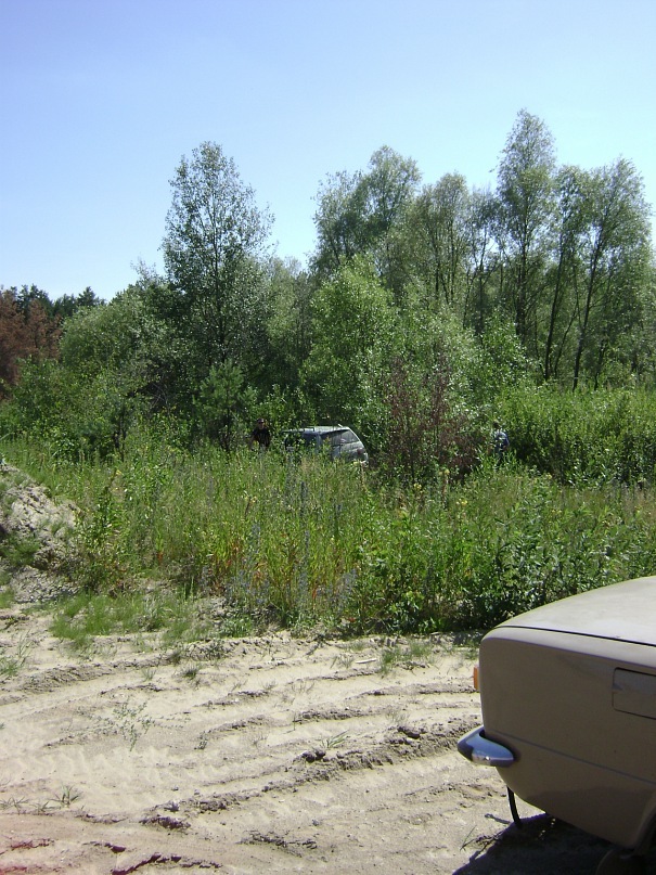 Алексей Мойсенко фотография #48