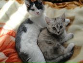 Лидия Дедер фотография #39 (источник - https://vk.com/id655541)