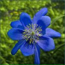 Фотография Лобановой Ольги