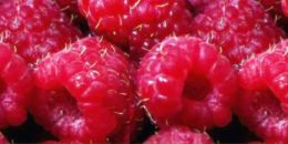 Фотография Соколовой Натальи