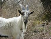 Андрій Дацюк фотография #45 (источник - https://vk.com/id27747637)