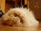 Фотография Белозеровой Ирины