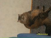 Фотография Пановой Ирины