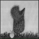 Фотография Абубекирова Алексея