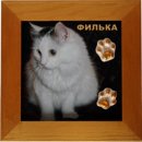 Эдуард Κрюков фотография #31 (источник - https://vk.com/id8140721)