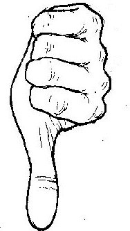 №17, Максим Шведов №17, Максим Шведов