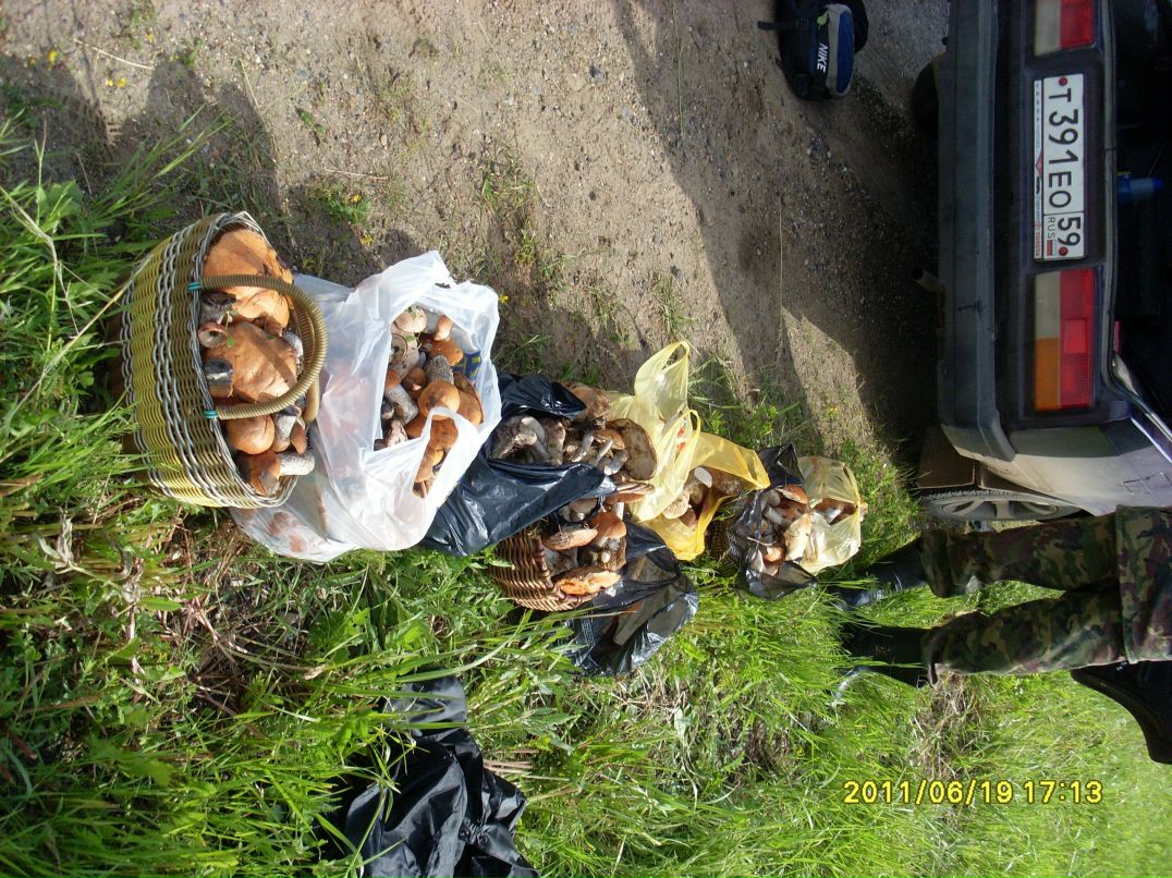 Стас Сушицкий фотография #3