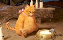 Фотография Пакеева Александра