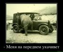 Роман Платко фотография #17 (источник - https://vk.com/id71472194)