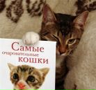 Вікторія Козловська фотография #18 (источник - https://vk.com/id153408278)