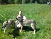 Фотография Медведевой Настёны