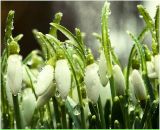 Оля Цвірук фотография #44 (источник - https://vk.com/id43602510)