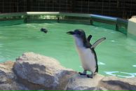 Sofija Kokina фотография #12 (источник - https://vk.com/id3973580)