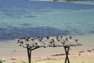 Sofija Kokina фотография #16 (источник - https://vk.com/id3973580)