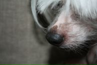 Фотография Семеновой Юли