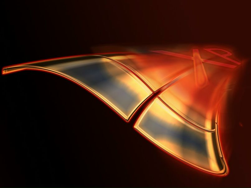 Max Sints-Row фотография #6