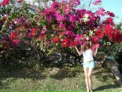 Фотография Войновой Марии