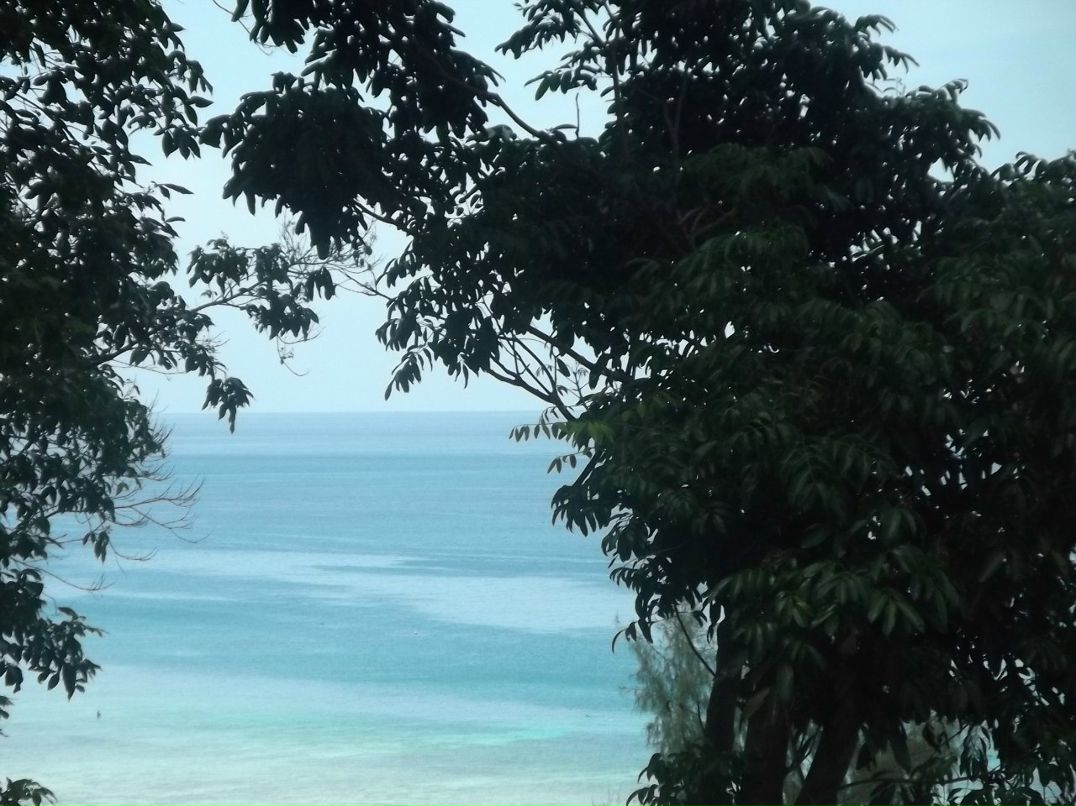 Дмитрий Михеенко фотография #30